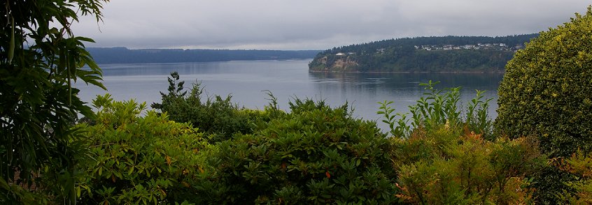 Paradise in University Place, Paradise chateau university place, university place b & b, university place, chambers bay golf course university place, university place wa washington.