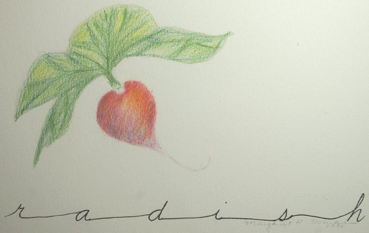 Radish Calligraphy by Peggy Doman - Image