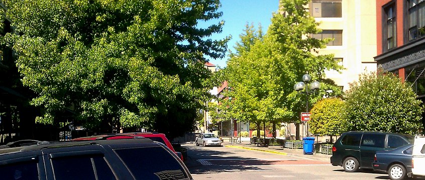 The street outside American Art in Tacoma, Washington.