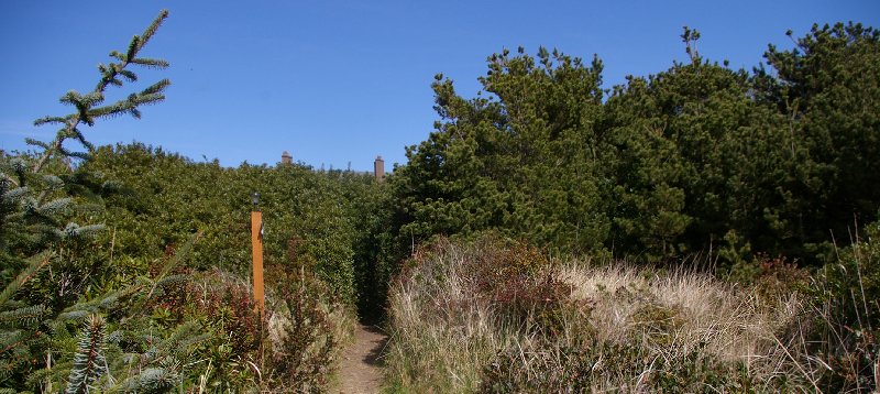 Trails will take you from your hotel or condo to the beach at Ocean Shores - image.