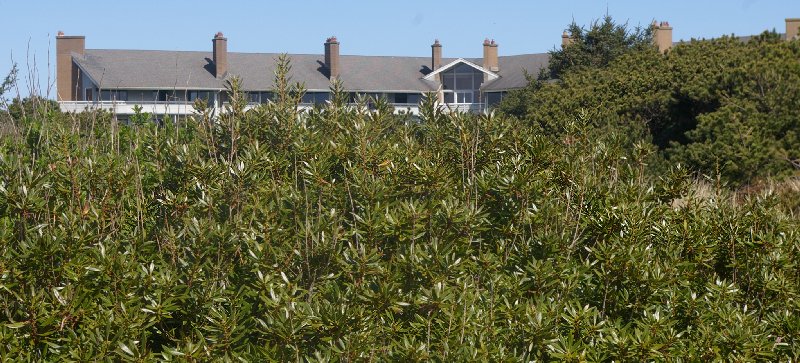 Keep and eye on where you came from and where you will be returning in the dunes at Ocean Shores - image.