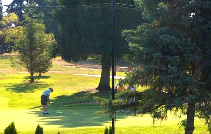 Looking on the 9th hole at Allenmore Golf Course in Tacoma - image.