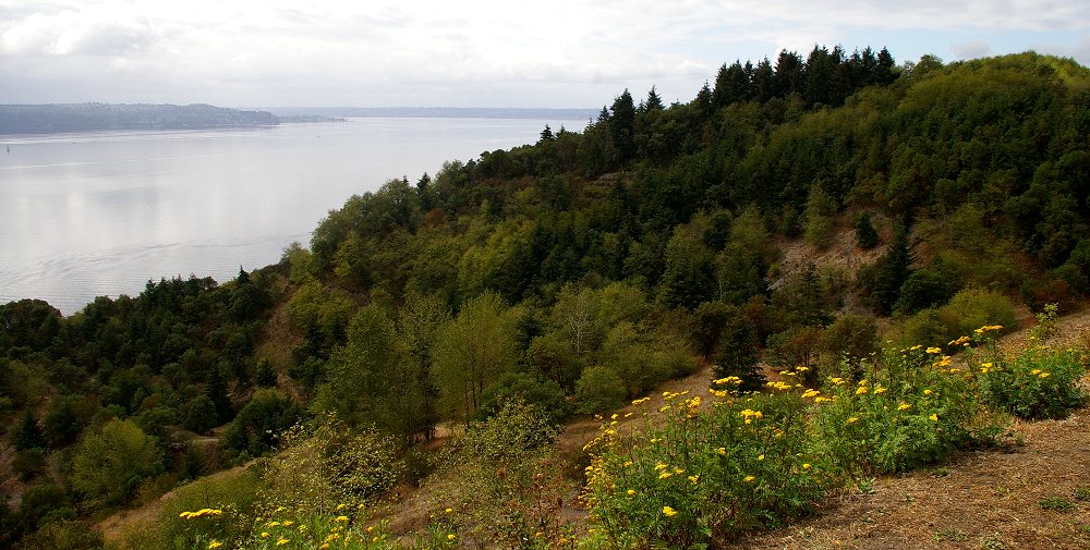 Scenic view of an old gravel pit on Vashon Island - image.