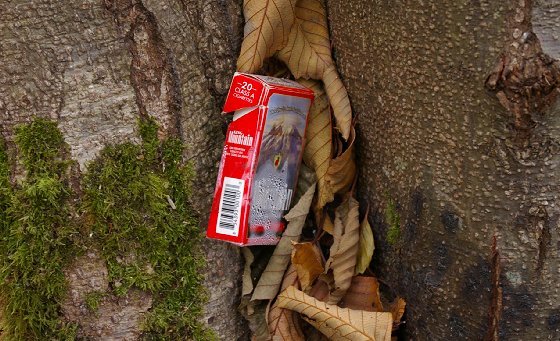 Found art at Point Robinson Park on Maury Island - image.