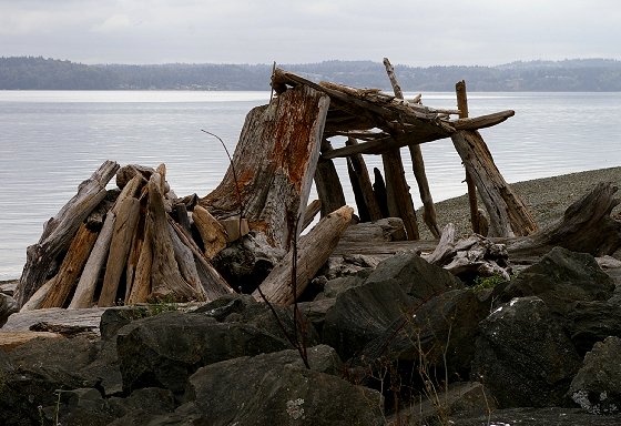 Driftwood shelter at Point Robinson Park on Maury Islanda - image.