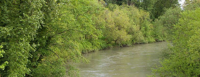 A nearby river view.